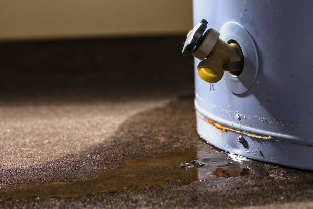 Best 24-hour water damage restoration  in Thomasville, AL