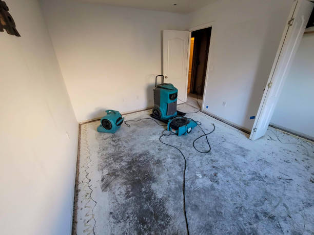 Best Flood damage cleanup  in Thomasville, AL