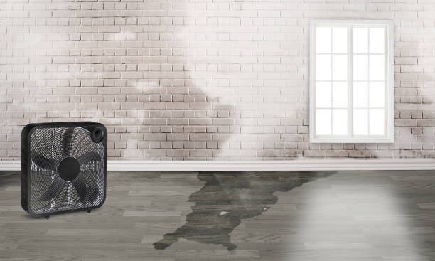 Professional Water damage restoration in AL