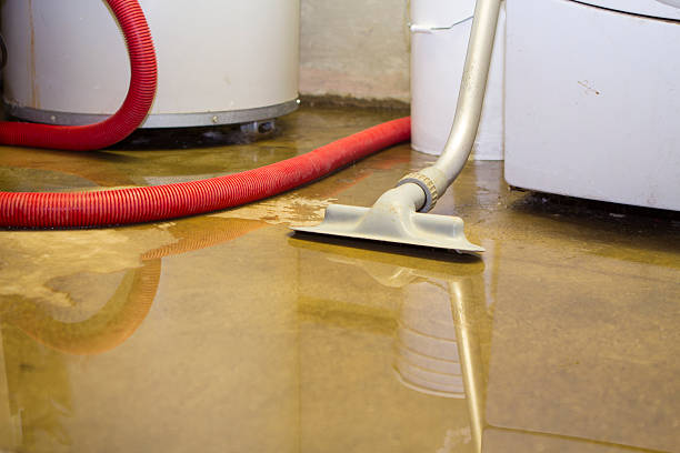 Best Emergency water damage restoration  in Thomasville, AL