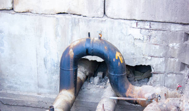 Best Professional water damage repair  in Thomasville, AL
